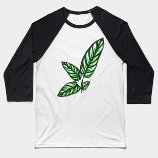 Calathea Baseball T-Shirt